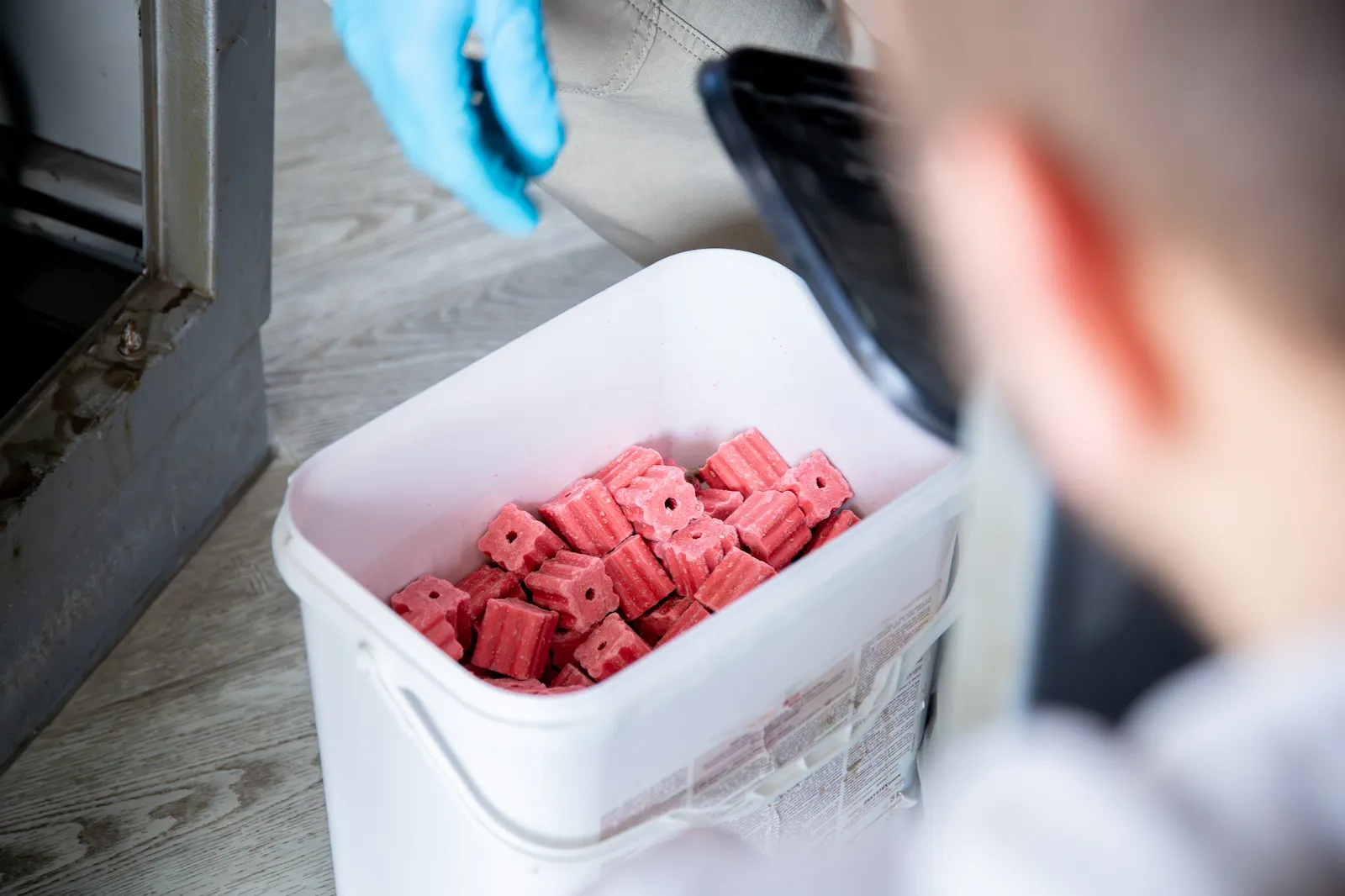 Intervention Flash Nuisible