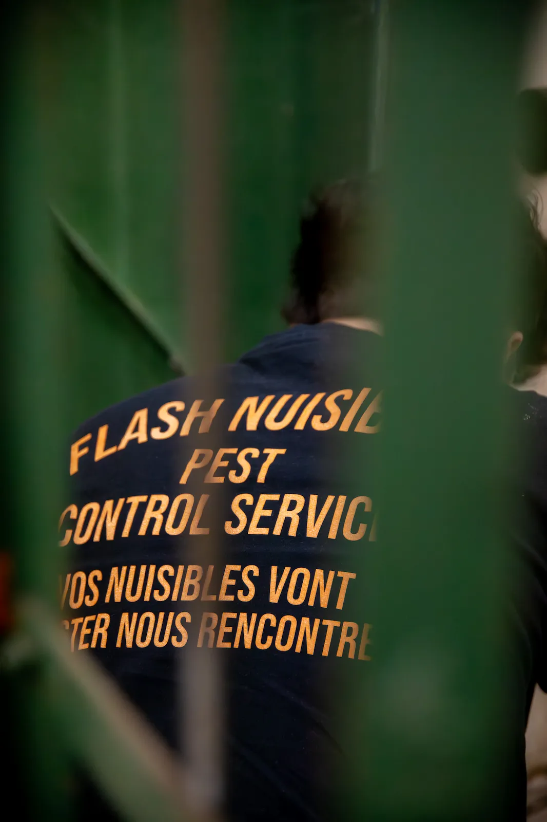 Diagnostic et traitement du bois