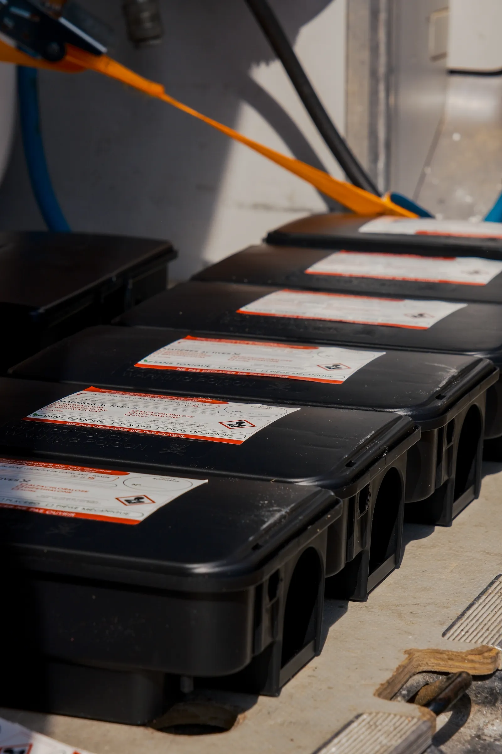 Flash Nuisible - intervention rapide