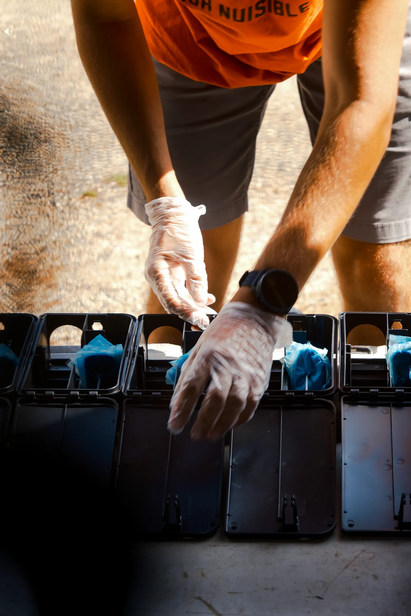 Traitement de dératisation - matériel professionnel