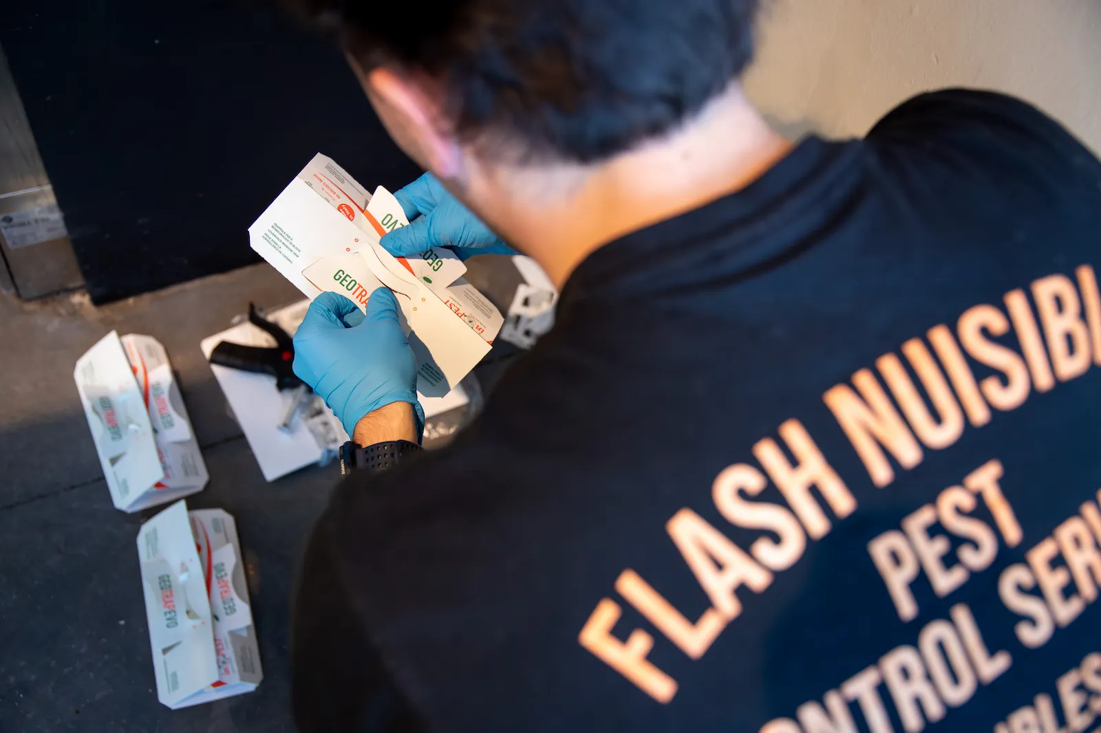 Intervention de désinsectisation