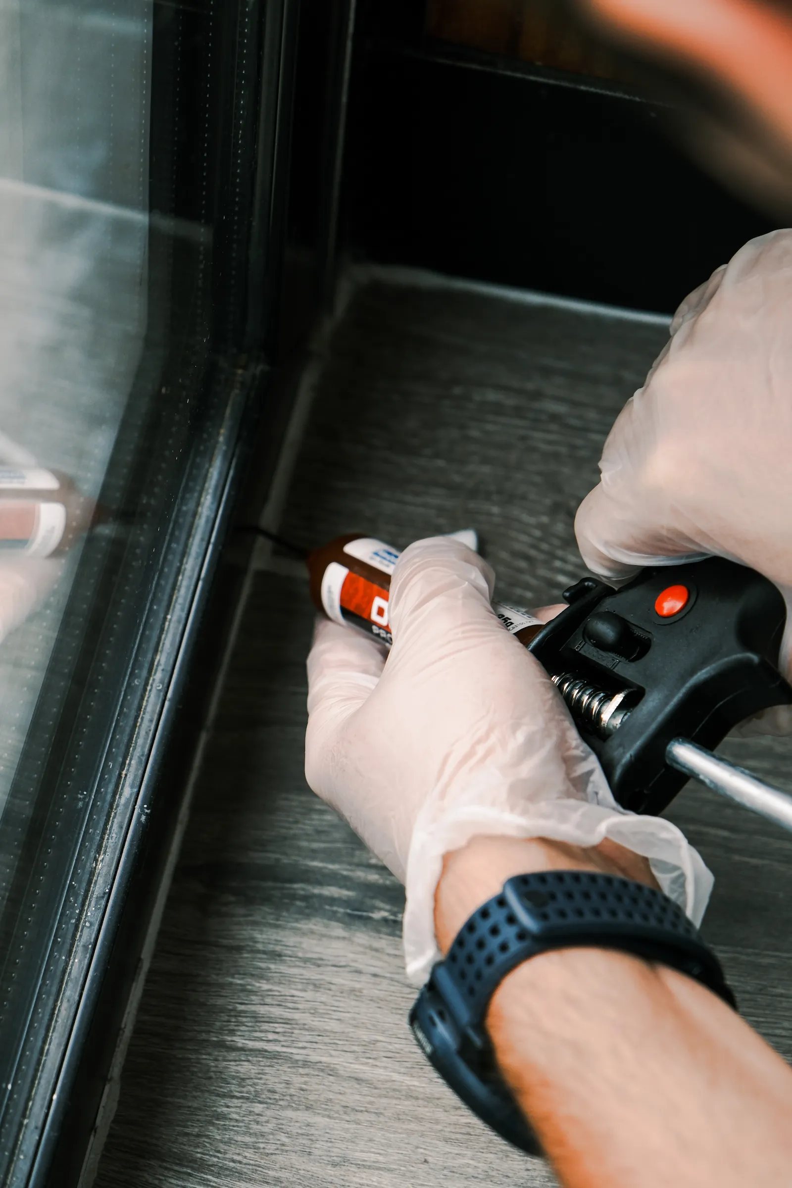 Traitement des fourmis