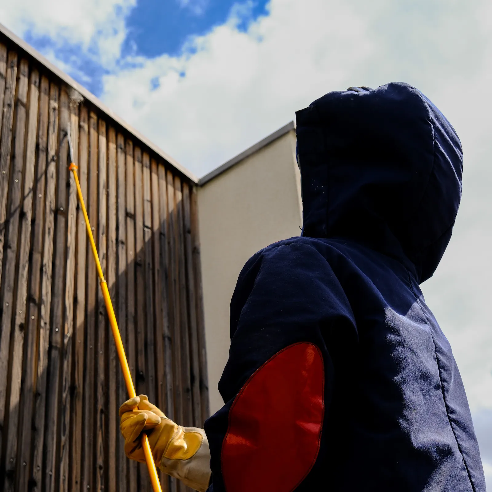 Nid guêpes frelons - intervention en zone difficile