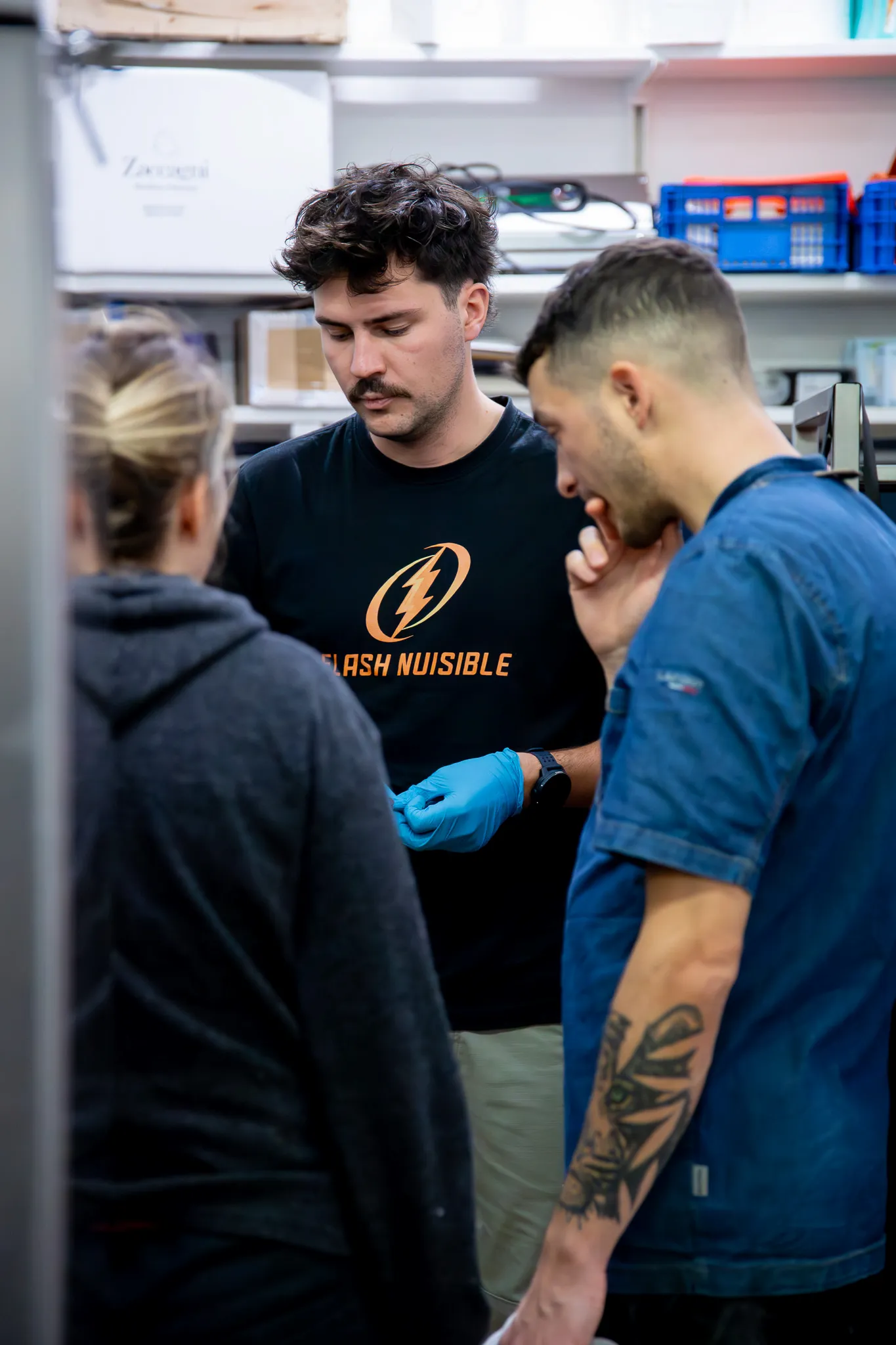 Interventions nuisibles - locaux professionnels